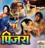 Pinjara - Marathi Movie Image