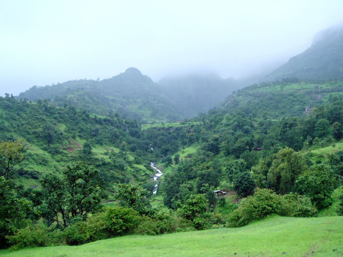 Kalsubai Image