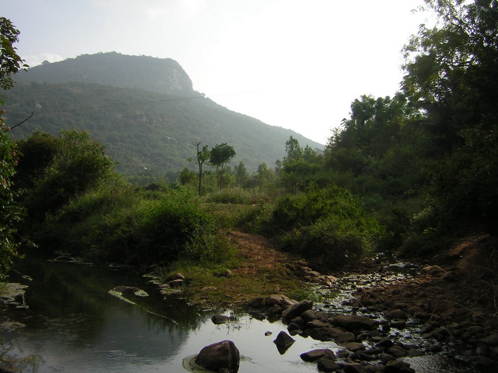 Rangaswamy Betta Image