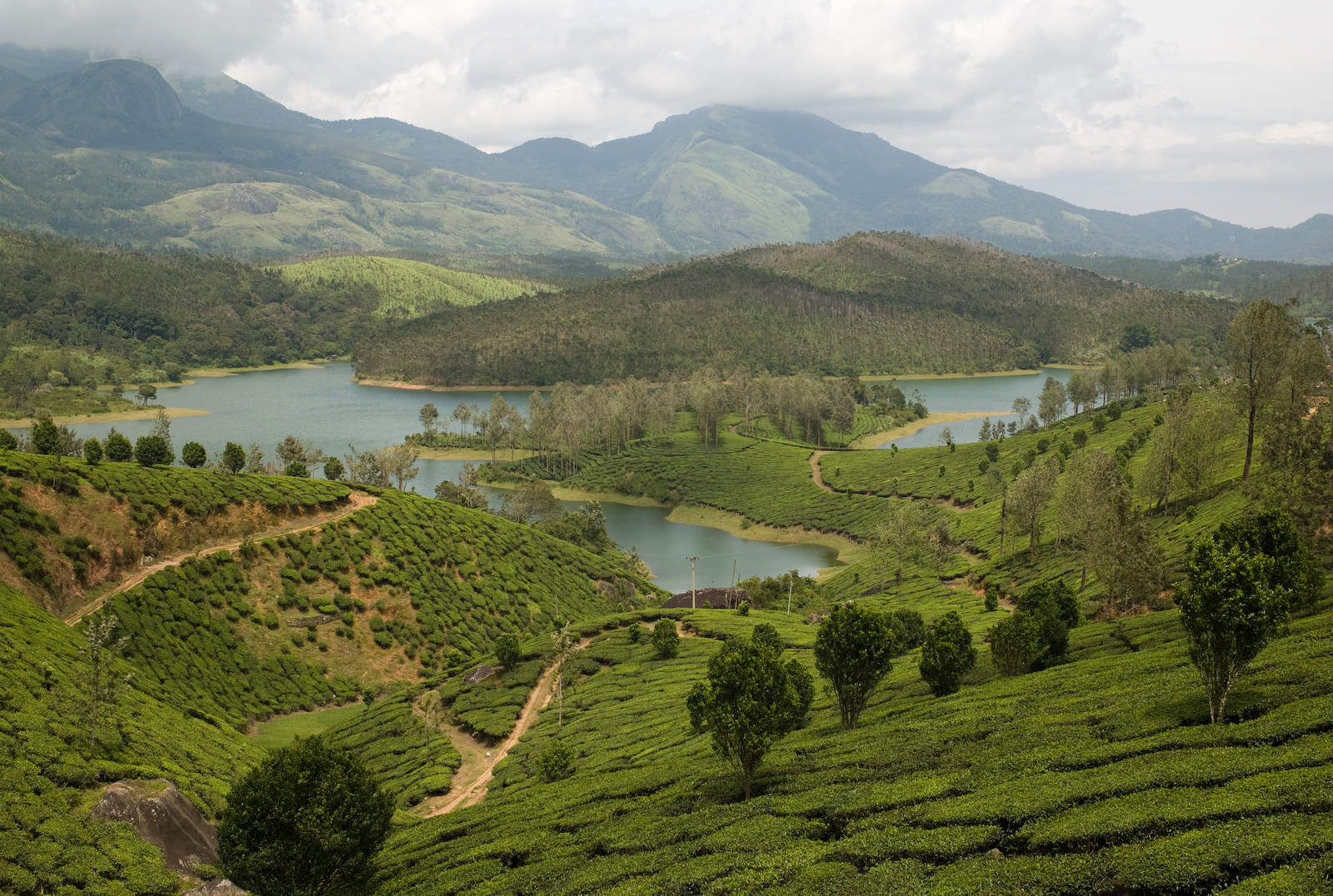 Yelagiri Image