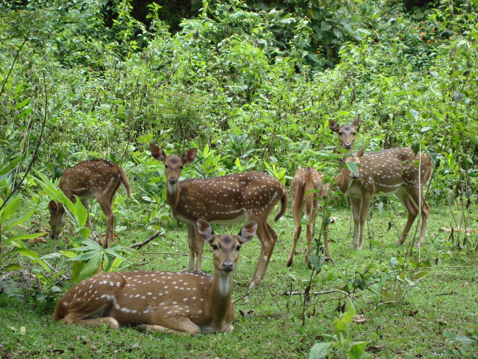 BRT Wildlife Sanctuary Image