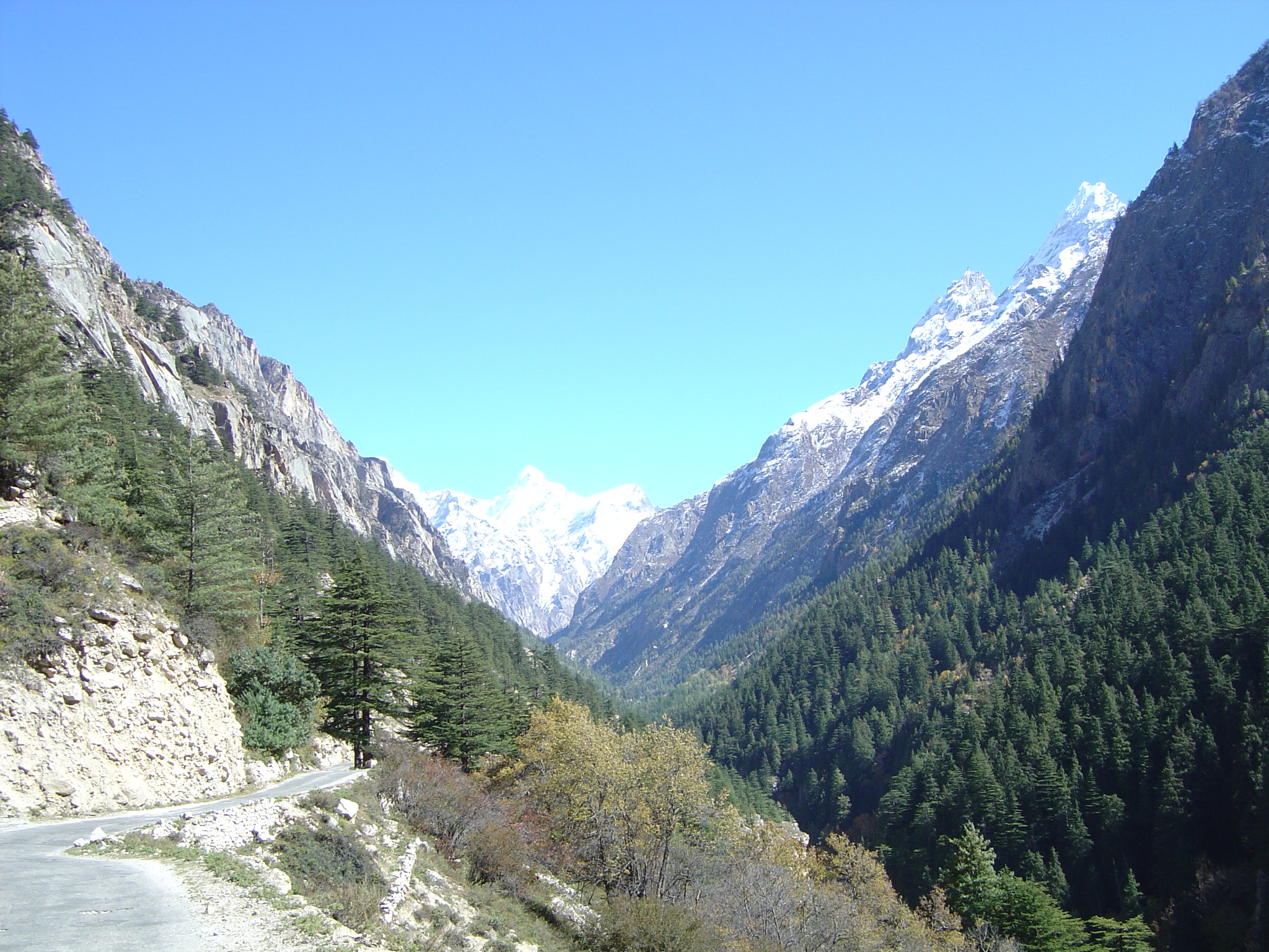 Gangotri Image