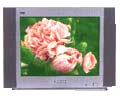 Thomson 21 T Flat V21 TF02 Image
