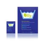 Olly Washing Powder Image