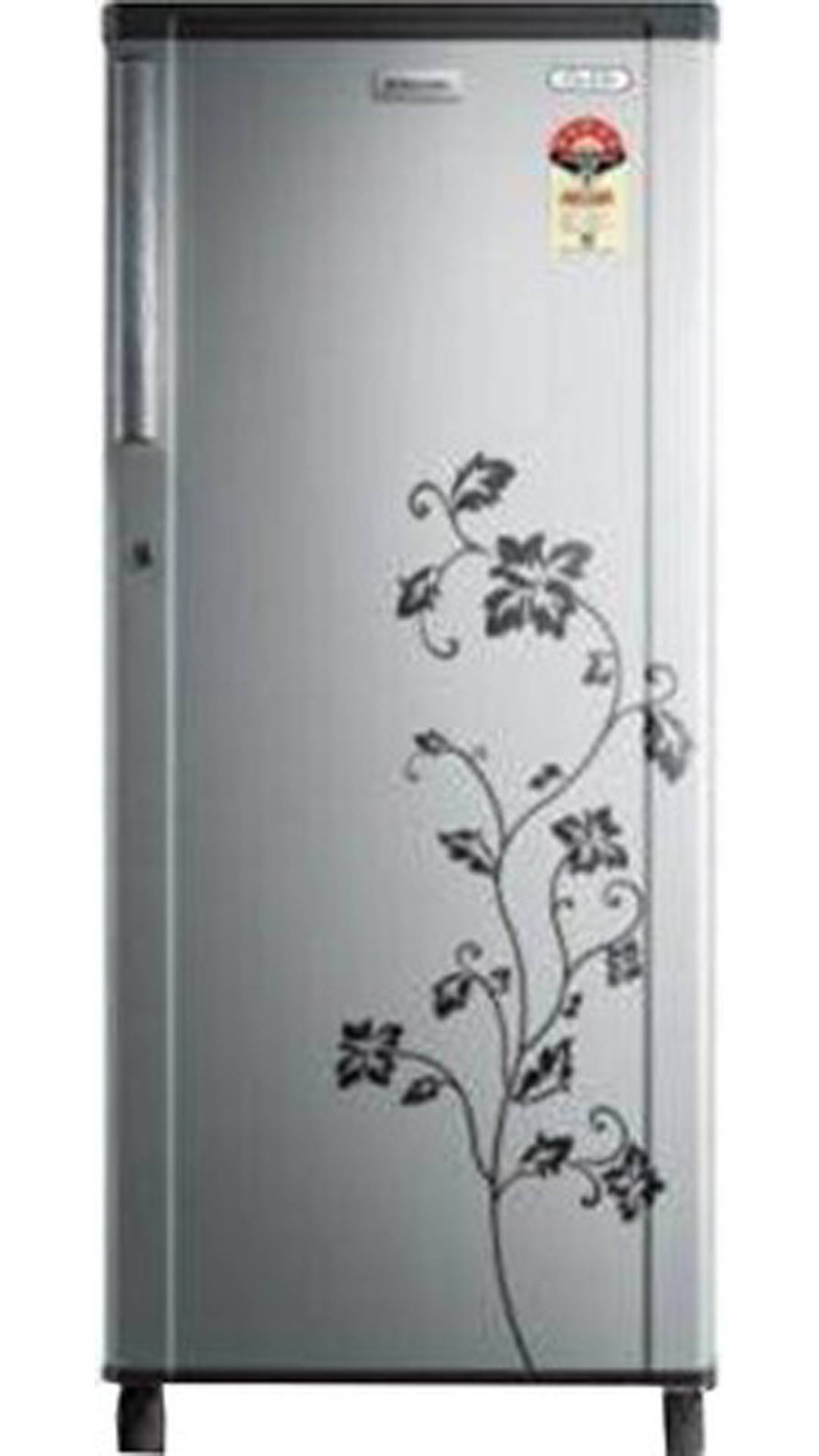 Electrolux Ozone Frost Free DFF44 Refrigerator Image