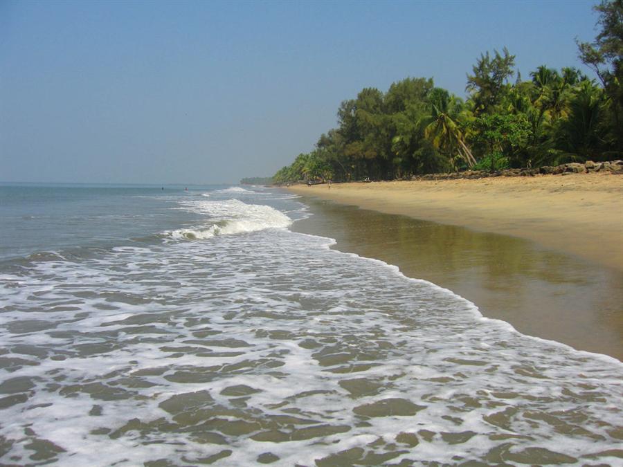 Cherai Beach Image