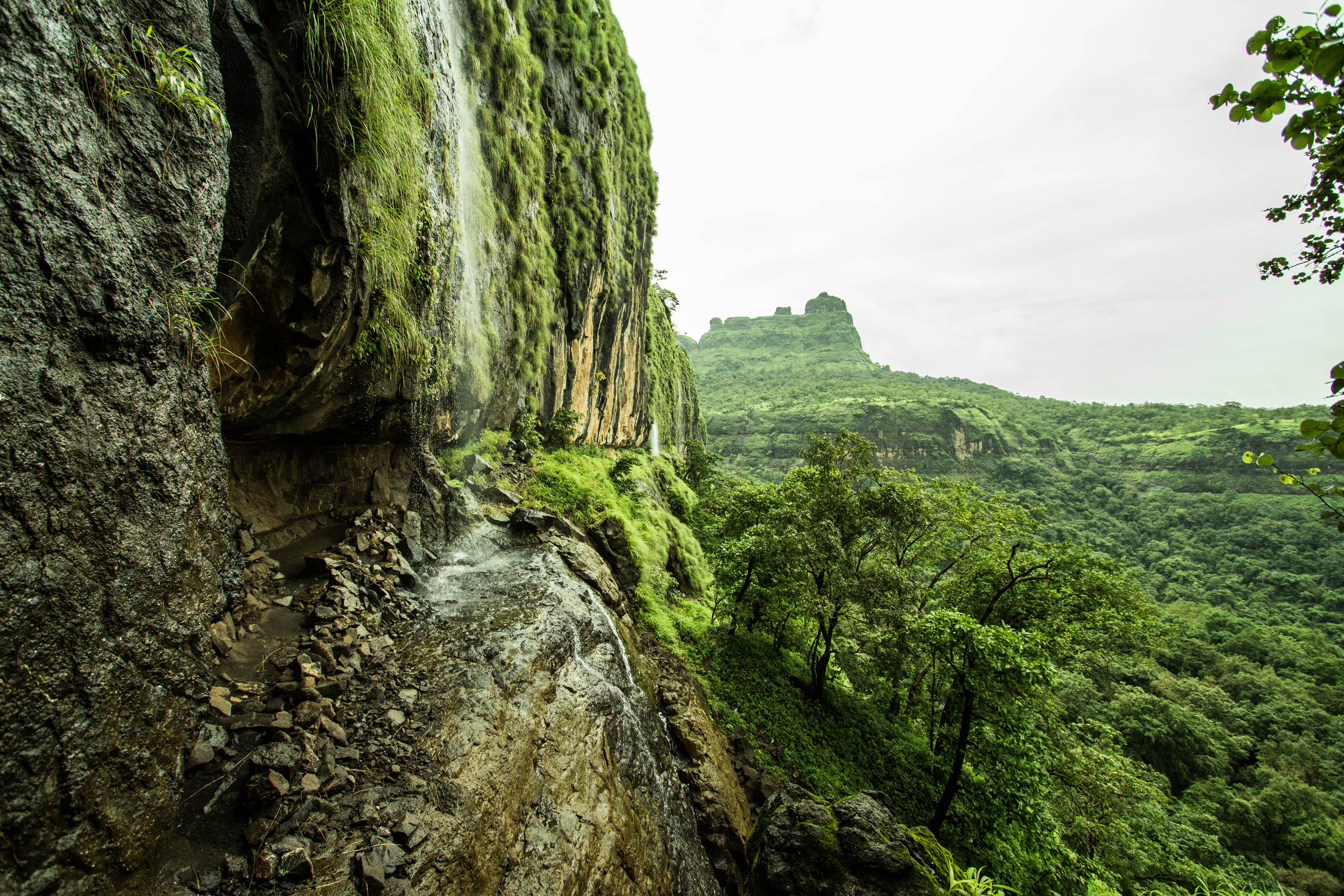 Bhimashankar Wildlife Sanctuary Image