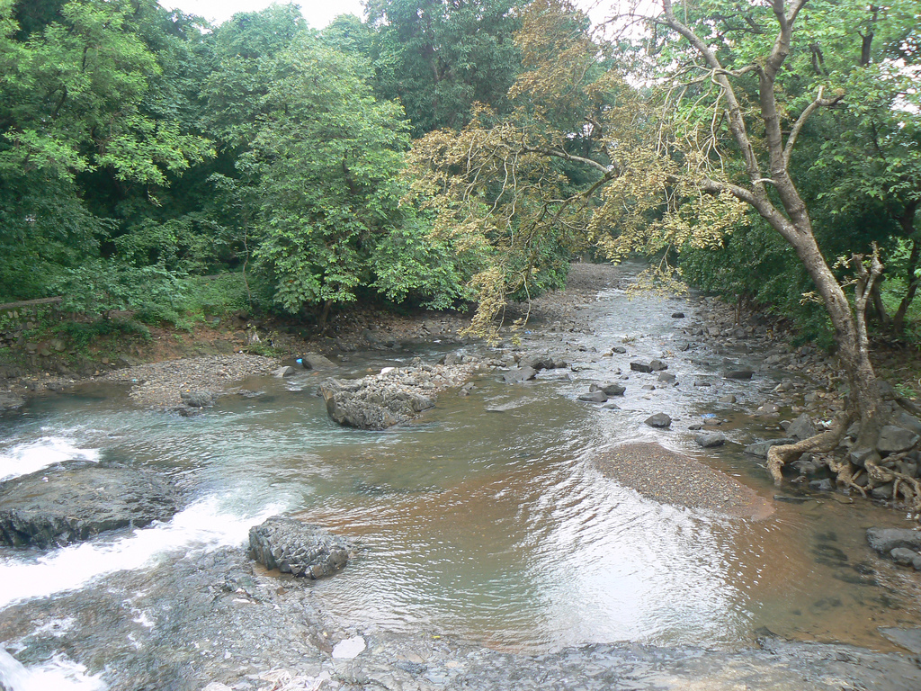 Tungareshwar Wildlife Sanctuary Image