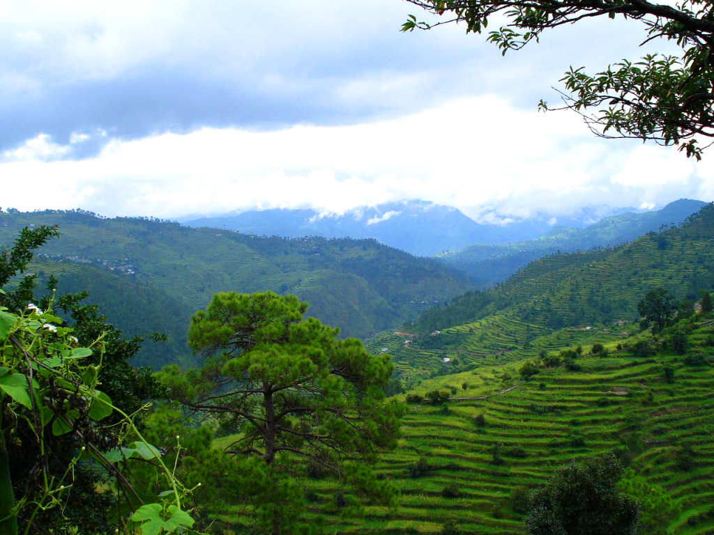 Ranikhet Image