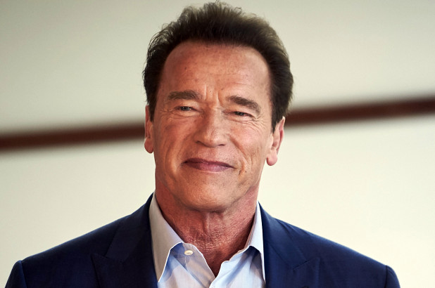 Arnold Schwarzenegger Image