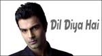 Dil Diya Hai Songs Image