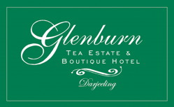 Glenburn Estate - Darjeeling Image