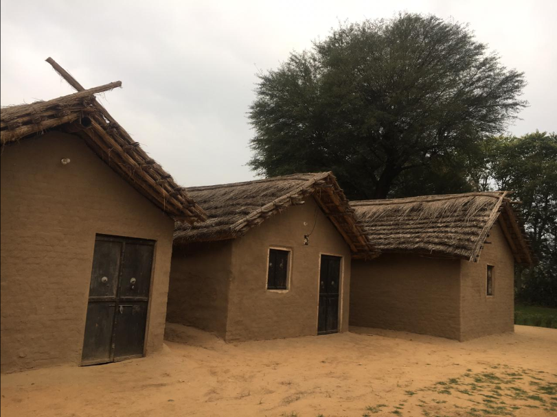 Saharia Organic Amla Farm - Jaipur Image