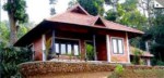 Misty Woods - Kodagu Image