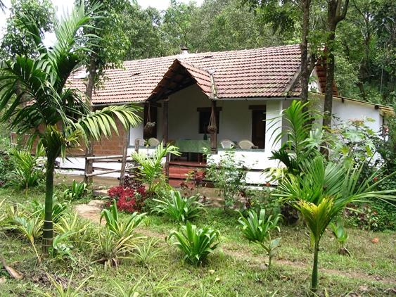 Rainforest Retreat - Kodagu Image