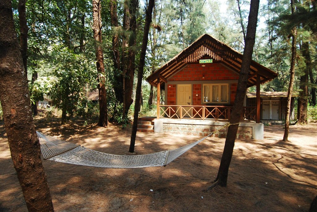 Jungle Lodges Devbagh Beach Resort - Uttara Kannada Image