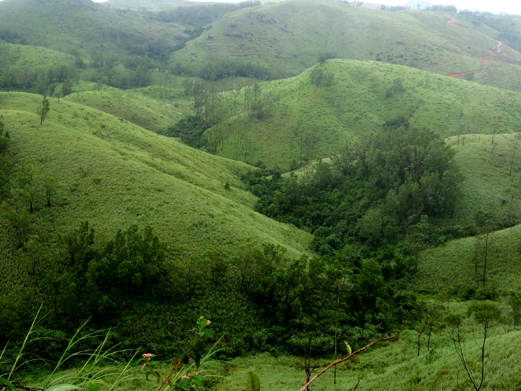 Vagamon Image