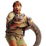 Steve Irwin Image