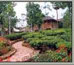 Vagamon Hide Out - Idukki Image