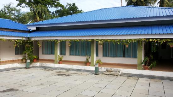Hawabill Nest Neil island - Port Blair Image