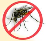 Dengue Tips Tips Image