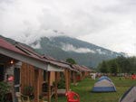 Nature Notes - Manali - Manali Image