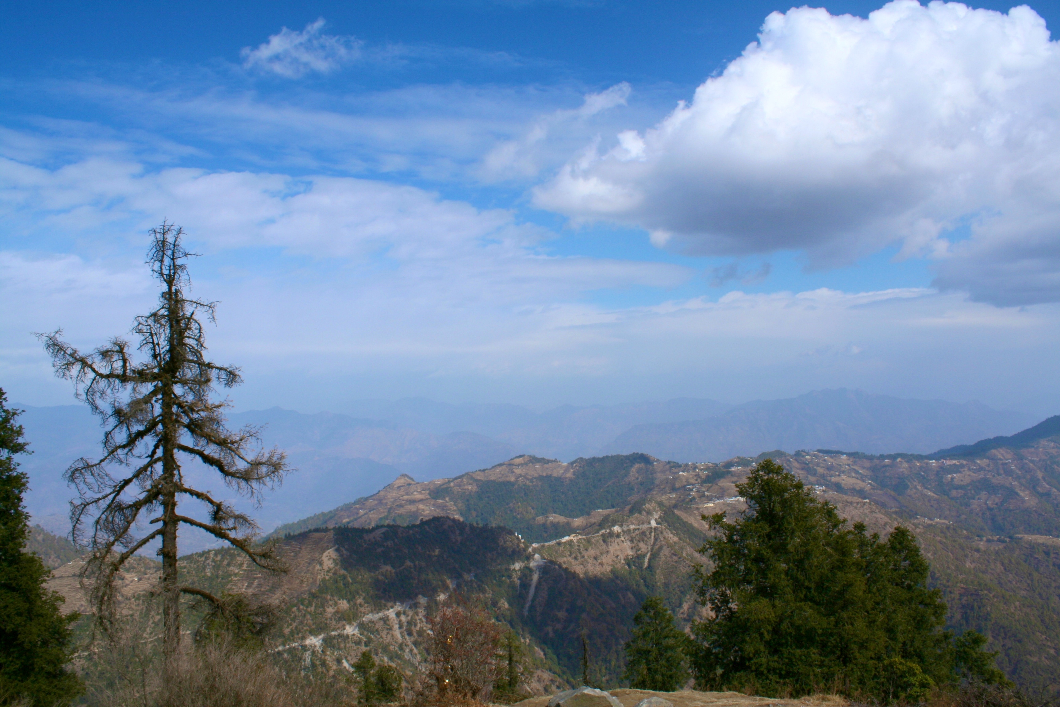 Dhanaulti Image