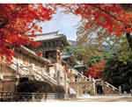 Gyeong Ju Image