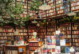 General Tips on Bookstores Image