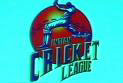 Indian Cricket League Image