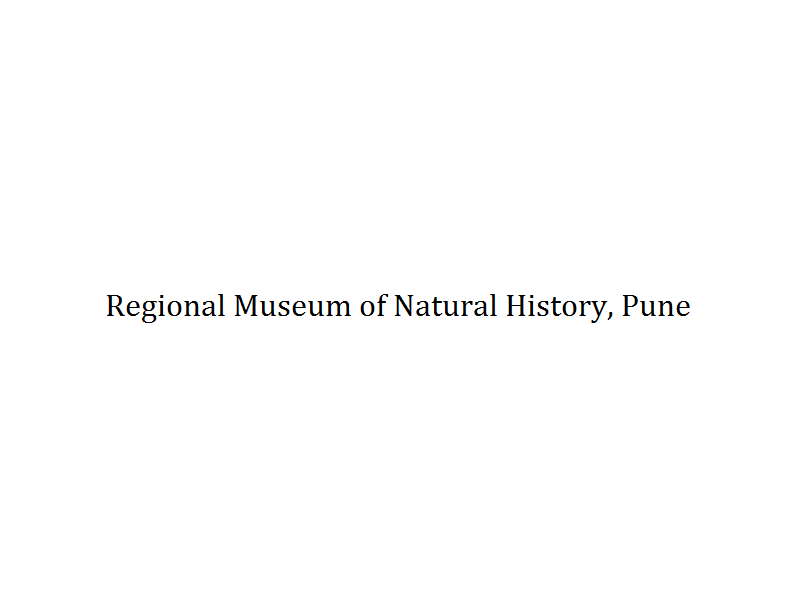 Regional Museum of Natural History - Pune Image