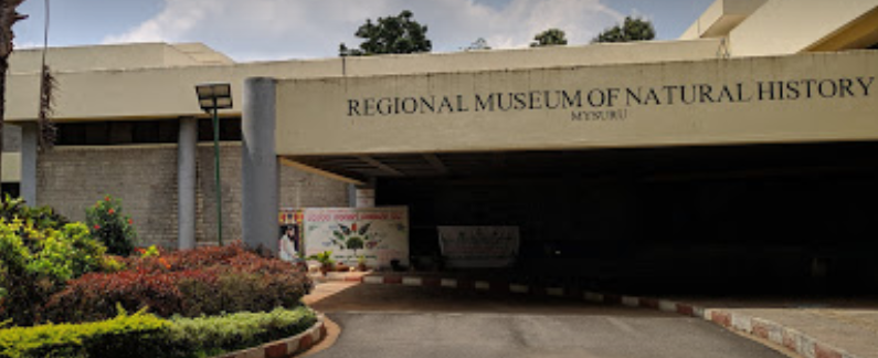 Regional Museum Of Natural History - Mysore  Image