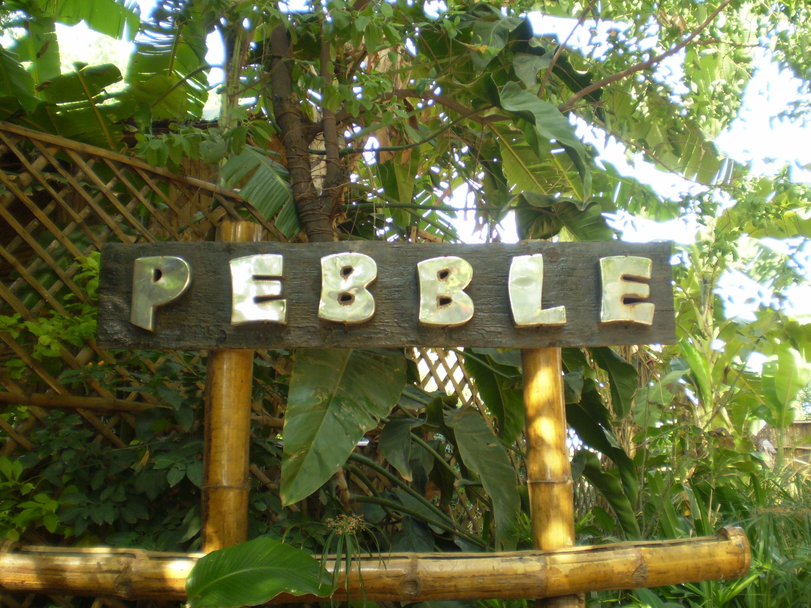 Pebble - Sadashiva Nagar - Bangalore Image