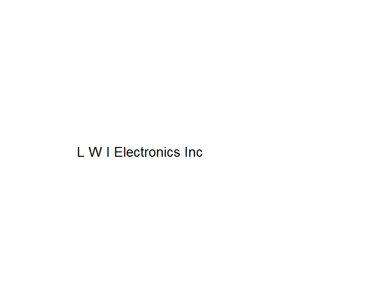 L W I Electronics Inc  Image