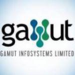 Gamut Infosystems Ltd Image