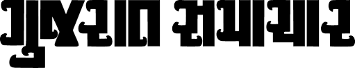 Gujarat Samachar Newspaper Image