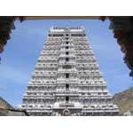 Thiruvannamalai Image