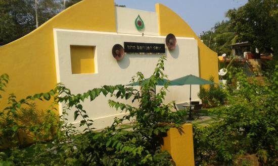 The Banyan Soul - Goa Image