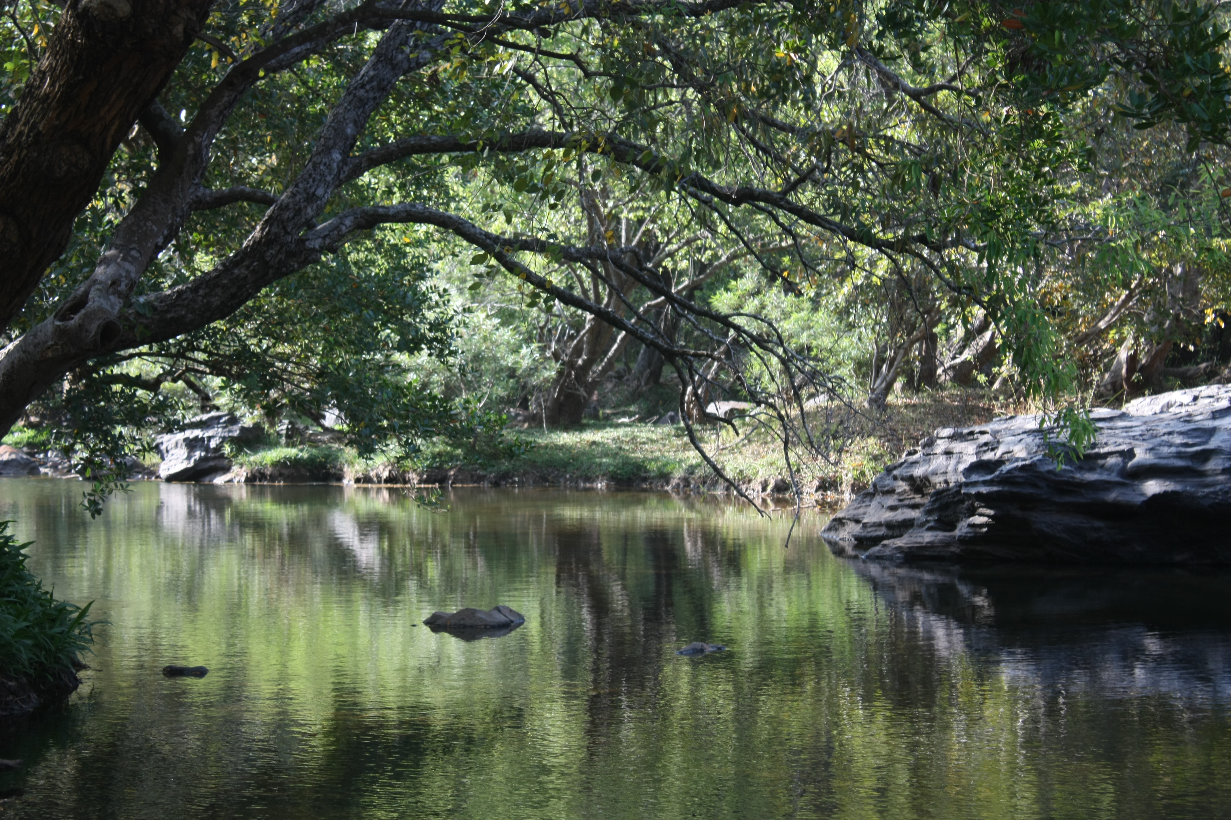 Baralikadu Image