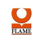 Flame-Pune Image