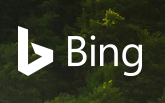 Bing Image