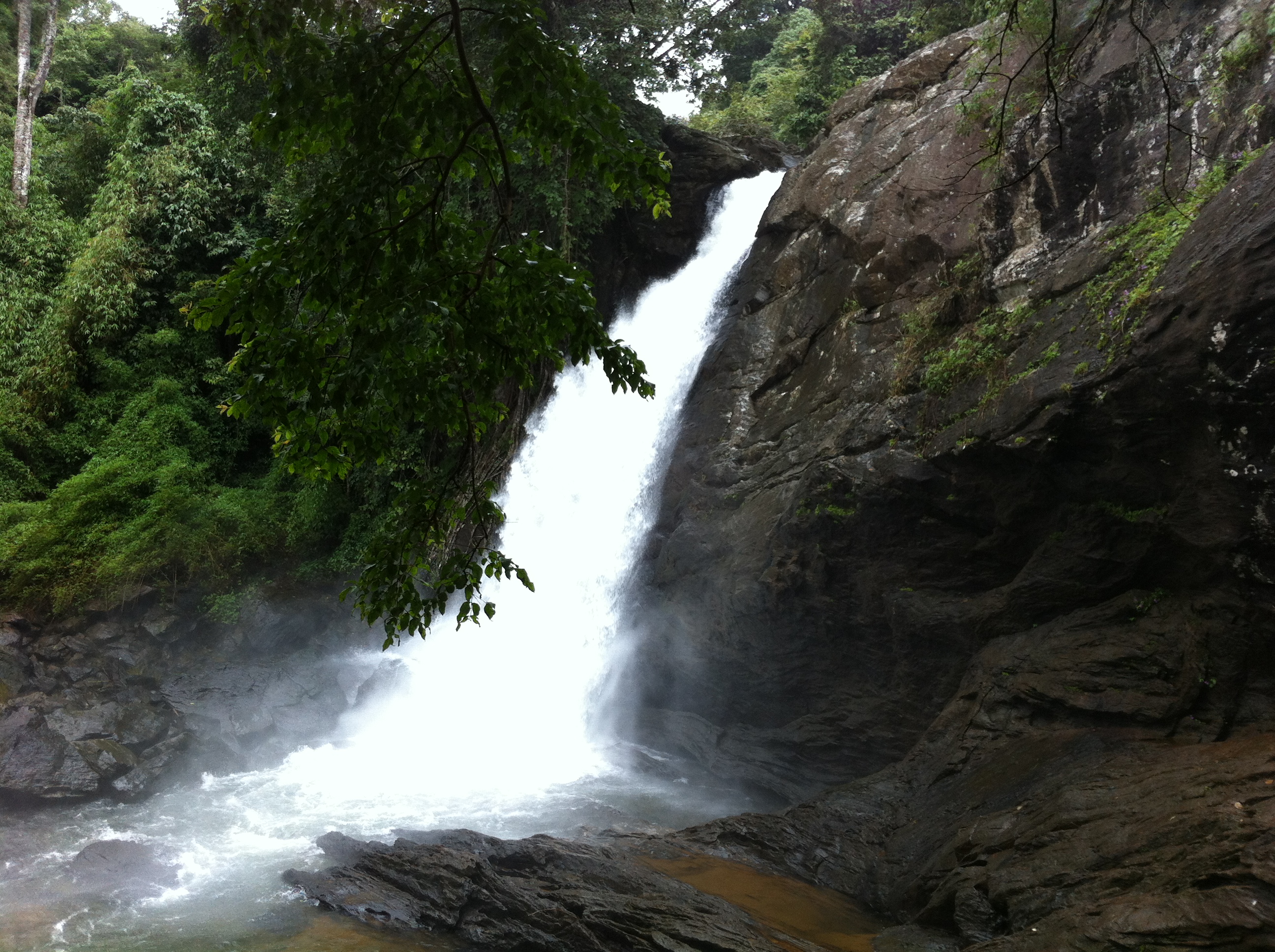 Soochippara Falls (Sentinel Rock Waterfall) - Wayanad Image