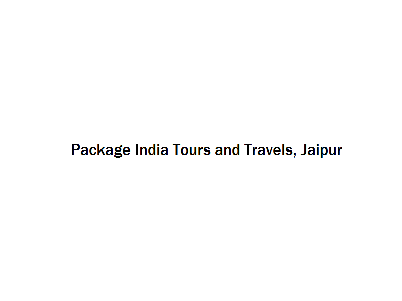 Package India Tours and Travels - Jaipur Image