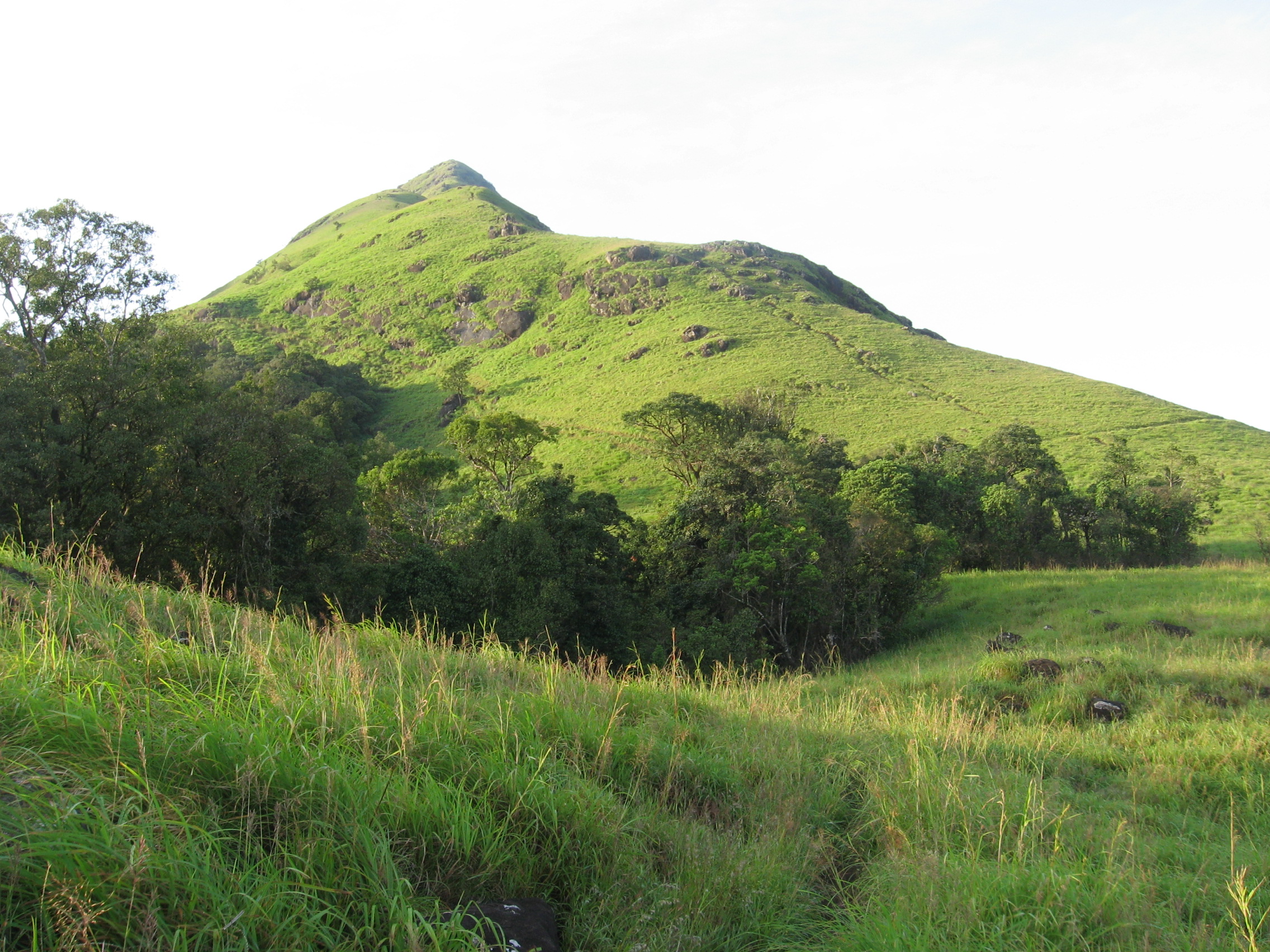 Chembra Peak Image