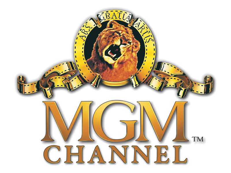 The Mgm Channel Image