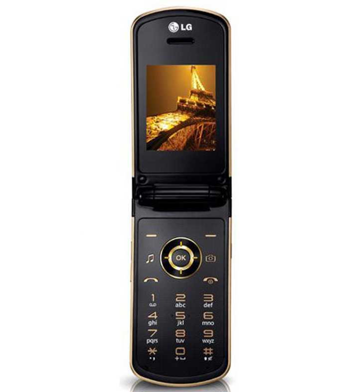 LG GD350 Image