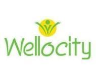 Wellocity - Satellite - Ahmedabad Image
