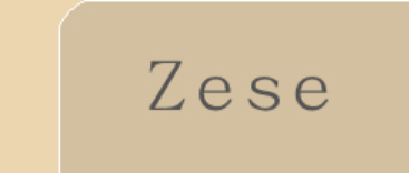 ZESE India Image