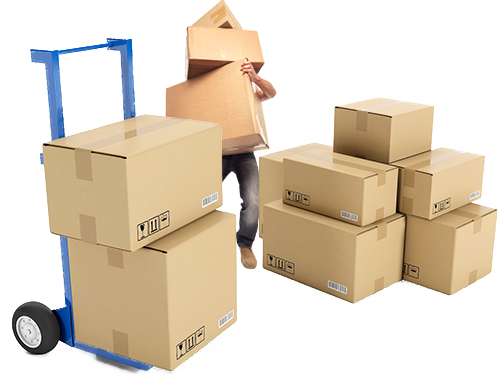 New Pindi Packers And Movers Image