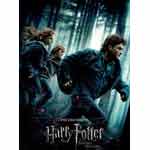 Harry Potter And The Deathly Hallows Movie - Part 1 Image